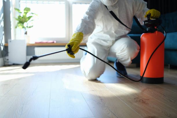 Reliable Odor Removal contractor in Louisville, OH by Trauma Clean Pros